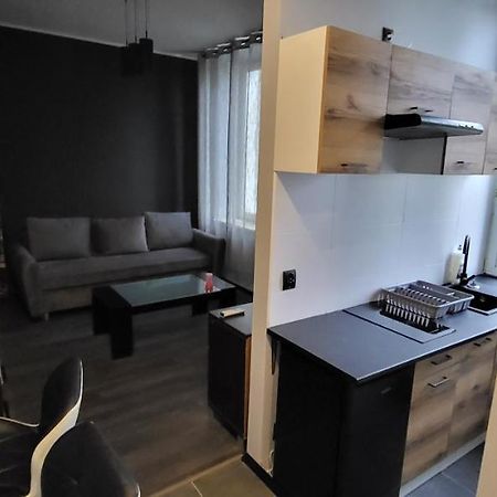 Apartament Pod Wieza Apartment Piotrkow Trybunalski Exterior photo
