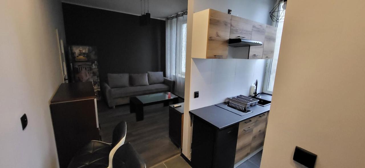 Apartament Pod Wieza Apartment Piotrkow Trybunalski Exterior photo